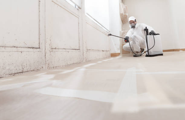 24/7 Emergency Mold Remediation experts in Ward, CO